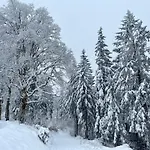 Carola By Interhome Apartament *