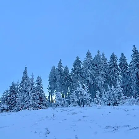 Carola By Interhome * Zella-Mehlis