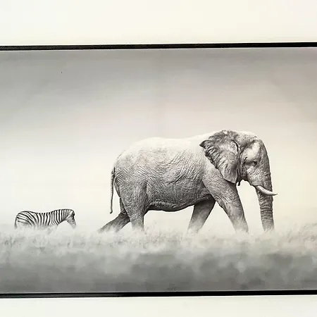 Appartement Carola By Interhome *