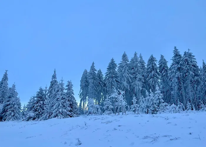 Carola By Interhome * Zella-Mehlis