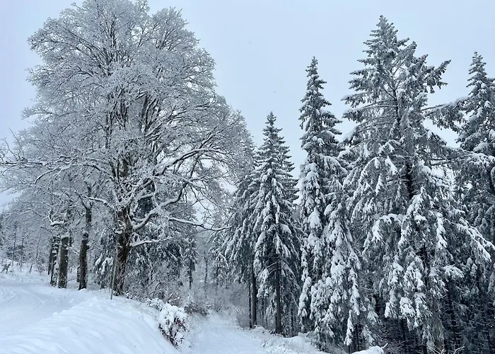 Carola By Interhome Appartement *