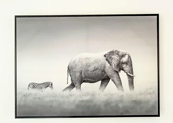 Appartement Carola By Interhome *